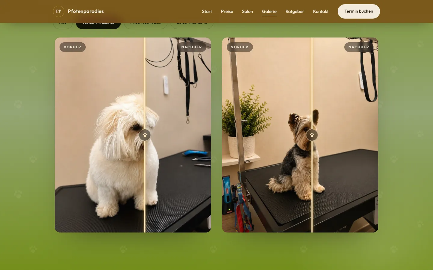 Echter Vorher/Nachher-Regler in der Pfotenparadies-Galerie mit zwei echten Grooming-Ergebnissen zum Ziehen