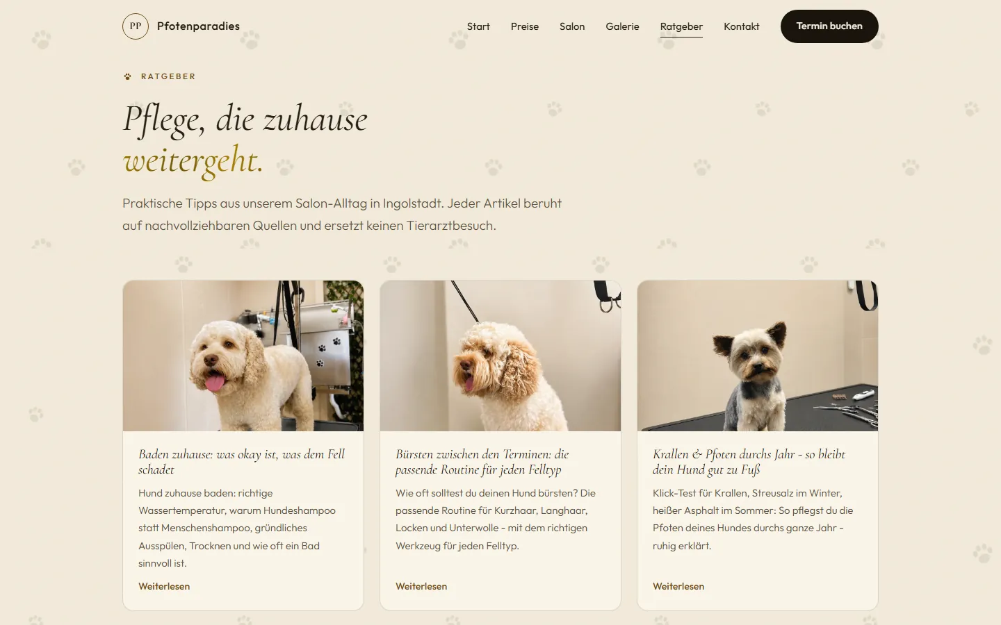 Ratgeber-Seite der neuen Pfotenparadies-Website mit echten Pflege-Artikeln aus dem Salon-Alltag